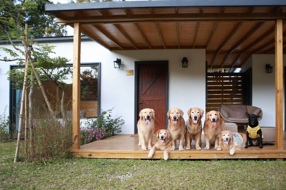苗栗銅鑼｜紫鳶山城- 覓境莊園。寵物友善民宿、群山繚繞、竹林秘境中的絕美莊園、日式奢華露營小屋