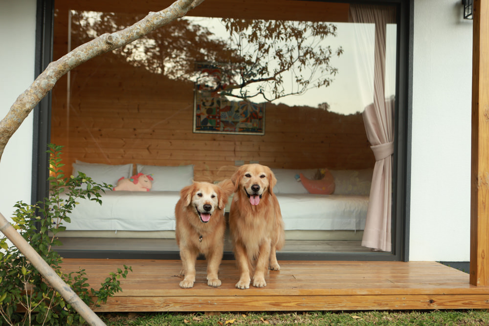 苗栗銅鑼｜紫鳶山城- 覓境莊園。寵物友善民宿、群山繚繞、竹林秘境中的絕美莊園、日式奢華露營小屋