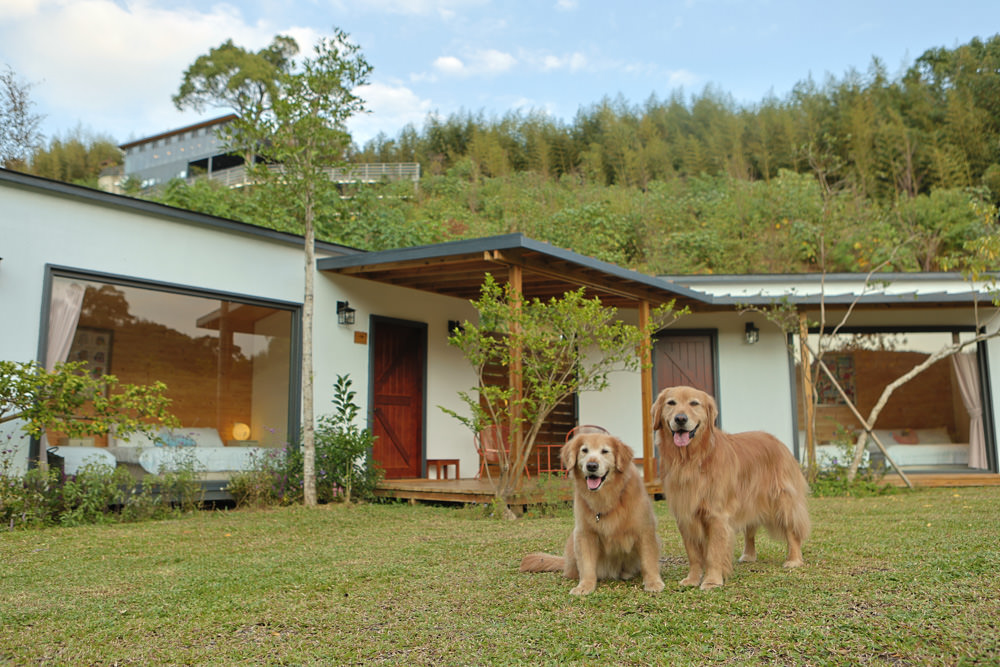 苗栗銅鑼｜紫鳶山城- 覓境莊園。寵物友善民宿、群山繚繞、竹林秘境中的絕美莊園、日式奢華露營小屋
