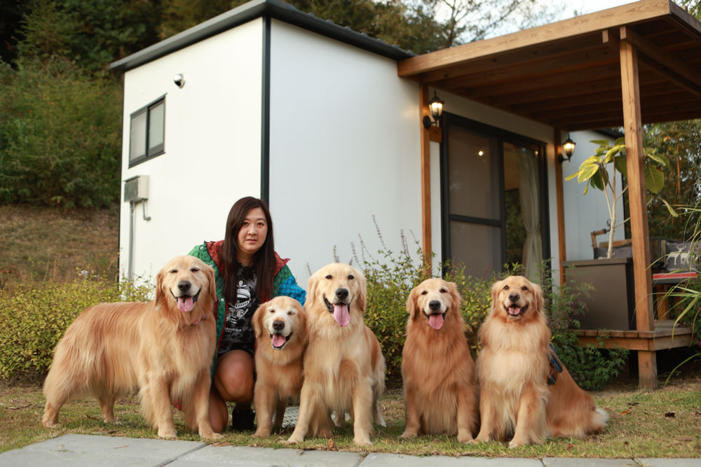 苗栗銅鑼｜紫鳶山城- 覓境莊園。寵物友善民宿、群山繚繞、竹林秘境中的絕美莊園、日式奢華露營小屋