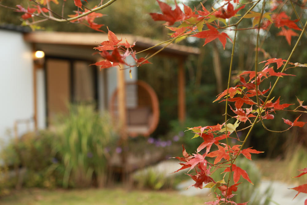 苗栗銅鑼｜紫鳶山城- 覓境莊園。寵物友善民宿、群山繚繞、竹林秘境中的絕美莊園、日式奢華露營小屋