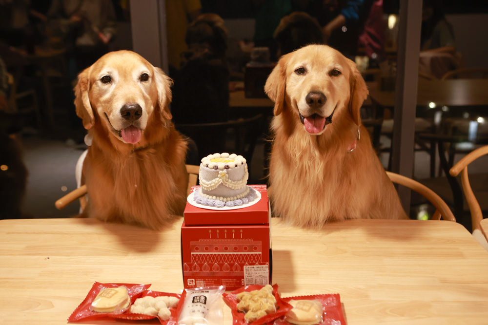 苗栗銅鑼｜紫鳶山城- 覓境莊園。寵物友善民宿、群山繚繞、竹林秘境中的絕美莊園、日式奢華露營小屋