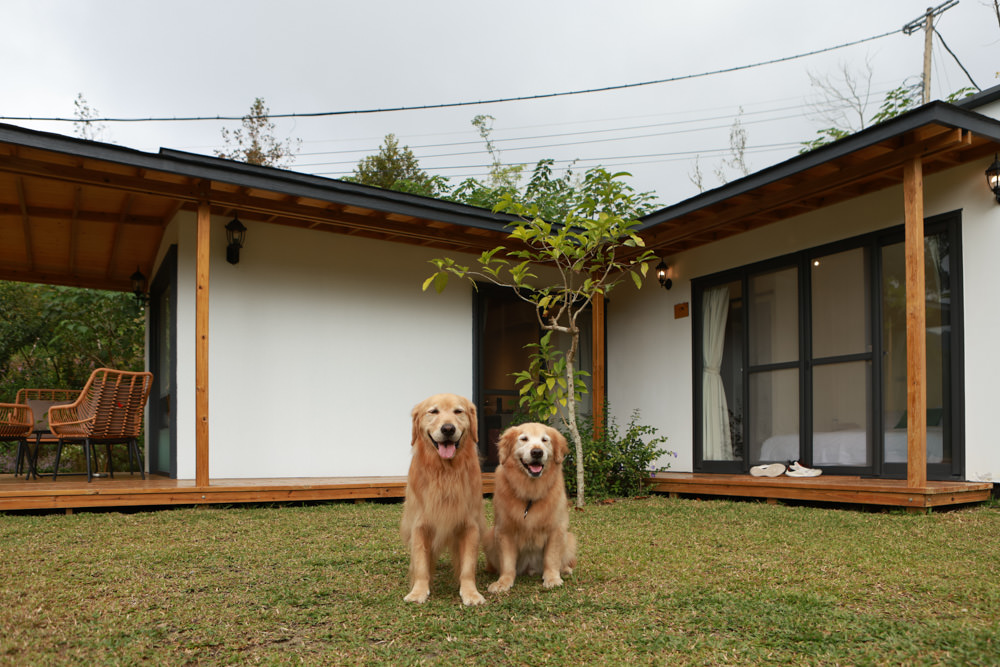 苗栗銅鑼｜紫鳶山城- 覓境莊園。寵物友善民宿、群山繚繞、竹林秘境中的絕美莊園、日式奢華露營小屋