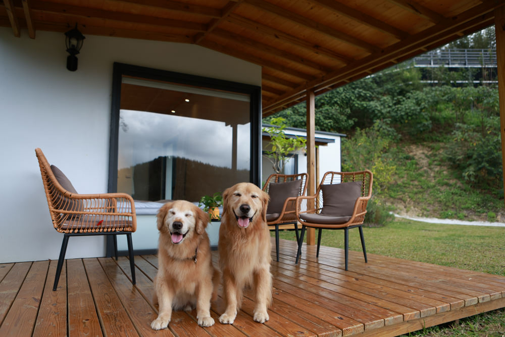 苗栗銅鑼｜紫鳶山城- 覓境莊園。寵物友善民宿、群山繚繞、竹林秘境中的絕美莊園、日式奢華露營小屋