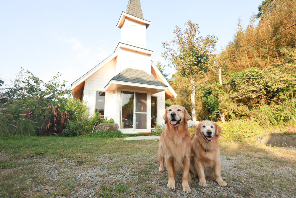 苗栗銅鑼｜紫鳶山城- 覓境莊園。寵物友善民宿、群山繚繞、竹林秘境中的絕美莊園、日式奢華露營小屋