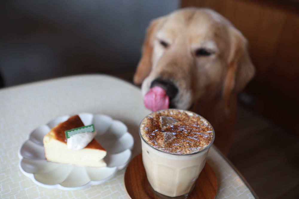 新店美食｜綠河Green River Roastery。寵物友善餐廳、新店碧潭咖啡廳、老宅咖啡廳、小京都咖啡館