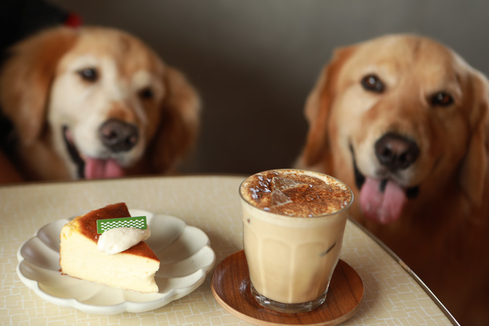 新店美食｜綠河Green River Roastery。寵物友善餐廳、新店碧潭咖啡廳、老宅咖啡廳、小京都咖啡館