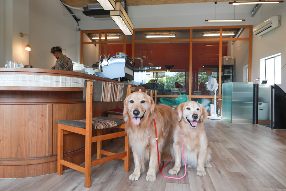 新店美食｜綠河Green River Roastery。寵物友善餐廳、新店碧潭咖啡廳、老宅咖啡廳、小京都咖啡館