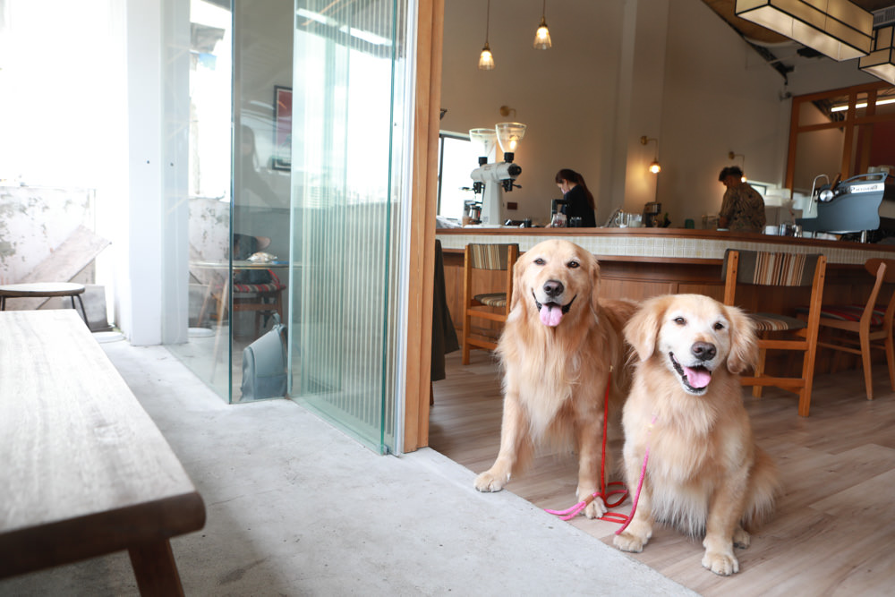 新店美食｜綠河Green River Roastery。寵物友善餐廳、新店碧潭咖啡廳、老宅咖啡廳、小京都咖啡館