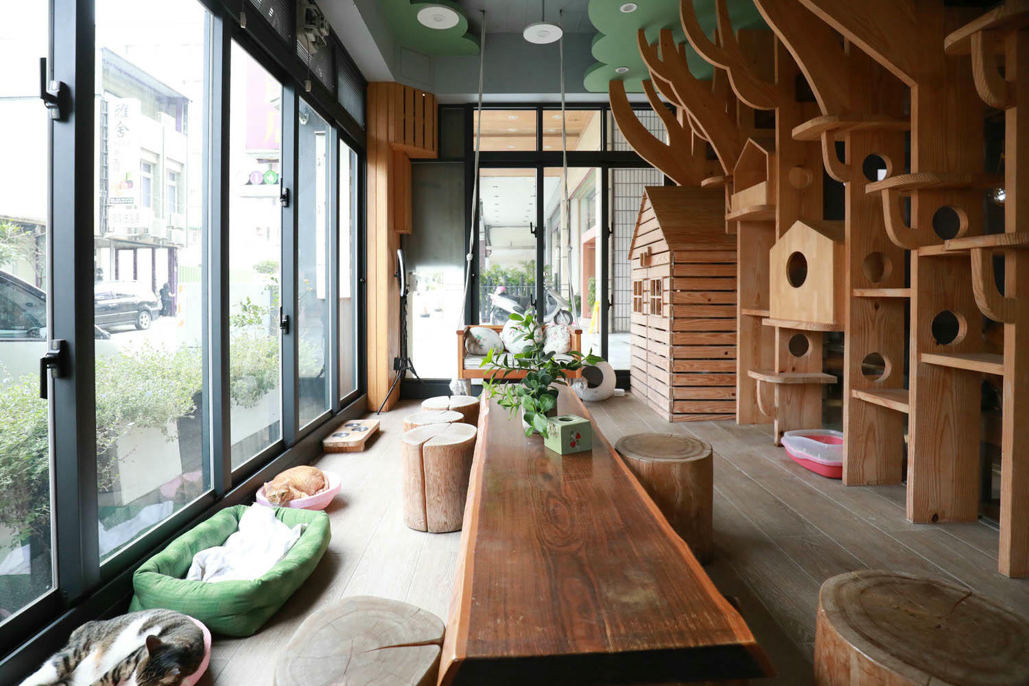 宜蘭礁溪溫泉飯店｜美嘉美溫泉大飯店。宜蘭礁溪寵物友善溫泉飯店、一泊三食吃到飽（下午茶、宵夜、早餐）、還有可與貓咪互動的可愛貓房！