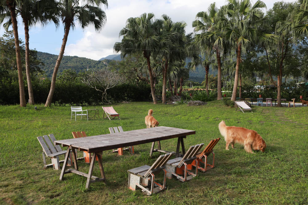 花蓮翠山莊villa包棟民宿|花蓮吉安包棟泳池民宿推薦、花蓮寵物友善民宿、豪華大別墅、泳池畔餐桌、大草皮、漂浮早餐 - 第4張圖 花蓮翠山莊villa包棟民宿|花蓮吉安包棟泳池民宿推薦、花蓮寵物友善民宿、豪華大別墅、泳池畔餐桌、大草皮、漂浮早餐