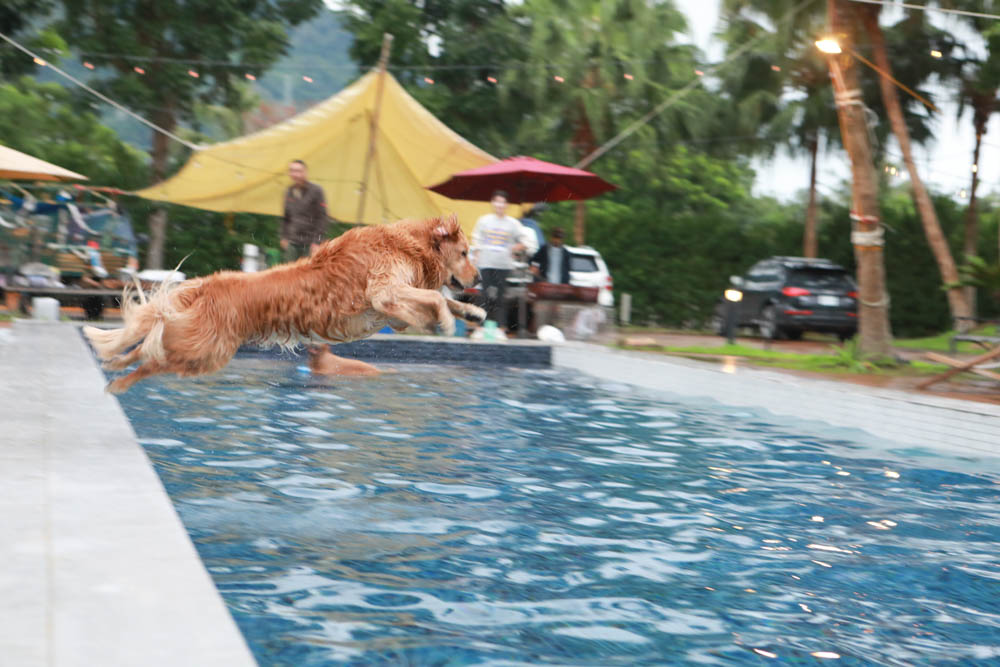 花蓮翠山莊villa包棟民宿|花蓮吉安包棟泳池民宿推薦、花蓮寵物友善民宿、豪華大別墅、泳池畔餐桌、大草皮、漂浮早餐 - 第29張圖 花蓮翠山莊villa包棟民宿|花蓮吉安包棟泳池民宿推薦、花蓮寵物友善民宿、豪華大別墅、泳池畔餐桌、大草皮、漂浮早餐