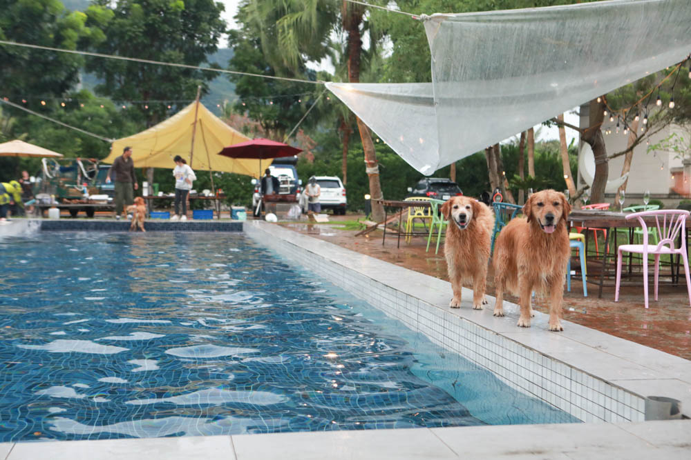 花蓮翠山莊villa包棟民宿|花蓮吉安包棟泳池民宿推薦、花蓮寵物友善民宿、豪華大別墅、泳池畔餐桌、大草皮、漂浮早餐 - 第27張圖 花蓮翠山莊villa包棟民宿|花蓮吉安包棟泳池民宿推薦、花蓮寵物友善民宿、豪華大別墅、泳池畔餐桌、大草皮、漂浮早餐