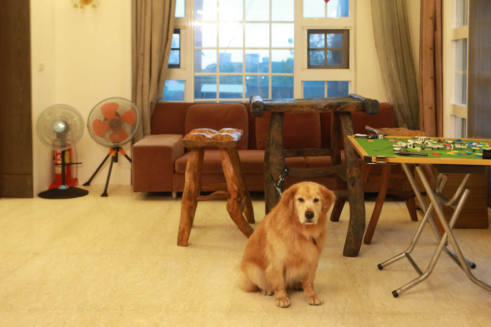 花蓮翠山莊villa包棟民宿|花蓮吉安包棟泳池民宿推薦、花蓮寵物友善民宿、豪華大別墅、泳池畔餐桌、大草皮、漂浮早餐 - 第12張圖 花蓮翠山莊villa包棟民宿|花蓮吉安包棟泳池民宿推薦、花蓮寵物友善民宿、豪華大別墅、泳池畔餐桌、大草皮、漂浮早餐