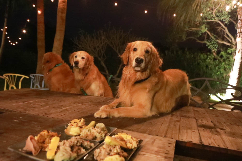 花蓮翠山莊villa包棟民宿|花蓮吉安包棟泳池民宿推薦、花蓮寵物友善民宿、豪華大別墅、泳池畔餐桌、大草皮、漂浮早餐 - 第40張圖 花蓮翠山莊villa包棟民宿|花蓮吉安包棟泳池民宿推薦、花蓮寵物友善民宿、豪華大別墅、泳池畔餐桌、大草皮、漂浮早餐