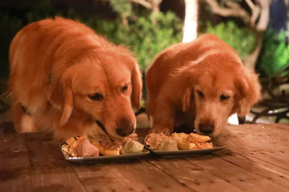 花蓮翠山莊villa包棟民宿|花蓮吉安包棟泳池民宿推薦、花蓮寵物友善民宿、豪華大別墅、泳池畔餐桌、大草皮、漂浮早餐 - 第42張圖 花蓮翠山莊villa包棟民宿|花蓮吉安包棟泳池民宿推薦、花蓮寵物友善民宿、豪華大別墅、泳池畔餐桌、大草皮、漂浮早餐