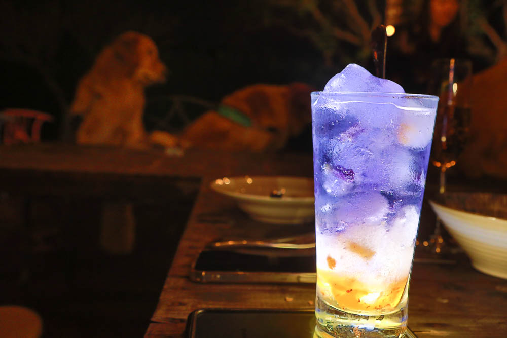 花蓮翠山莊villa包棟民宿|花蓮吉安包棟泳池民宿推薦、花蓮寵物友善民宿、豪華大別墅、泳池畔餐桌、大草皮、漂浮早餐 - 第49張圖 花蓮翠山莊villa包棟民宿|花蓮吉安包棟泳池民宿推薦、花蓮寵物友善民宿、豪華大別墅、泳池畔餐桌、大草皮、漂浮早餐