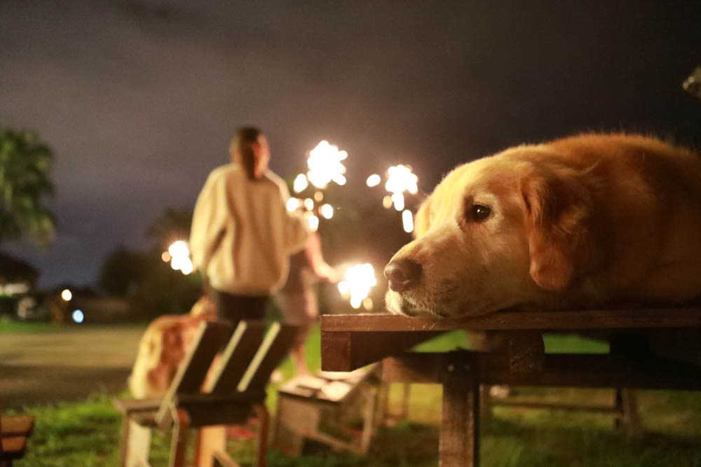花蓮翠山莊villa包棟民宿|花蓮吉安包棟泳池民宿推薦、花蓮寵物友善民宿、豪華大別墅、泳池畔餐桌、大草皮、漂浮早餐 - 第59張圖 花蓮翠山莊villa包棟民宿|花蓮吉安包棟泳池民宿推薦、花蓮寵物友善民宿、豪華大別墅、泳池畔餐桌、大草皮、漂浮早餐
