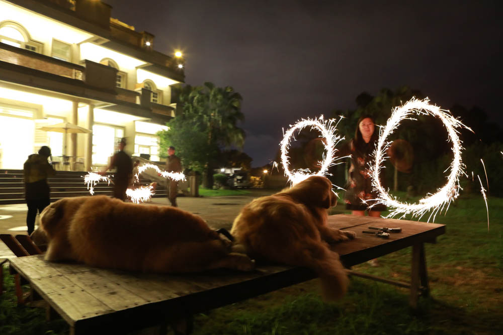 花蓮翠山莊villa包棟民宿|花蓮吉安包棟泳池民宿推薦、花蓮寵物友善民宿、豪華大別墅、泳池畔餐桌、大草皮、漂浮早餐 - 第60張圖 花蓮翠山莊villa包棟民宿|花蓮吉安包棟泳池民宿推薦、花蓮寵物友善民宿、豪華大別墅、泳池畔餐桌、大草皮、漂浮早餐