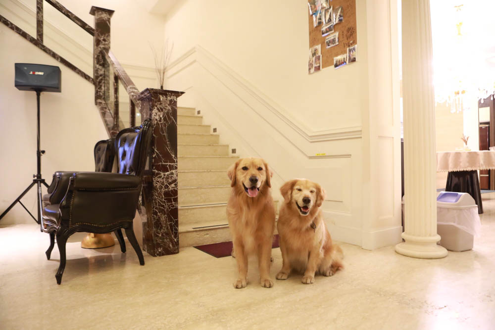 花蓮翠山莊villa包棟民宿|花蓮吉安包棟泳池民宿推薦、花蓮寵物友善民宿、豪華大別墅、泳池畔餐桌、大草皮、漂浮早餐 - 第6張圖 花蓮翠山莊villa包棟民宿|花蓮吉安包棟泳池民宿推薦、花蓮寵物友善民宿、豪華大別墅、泳池畔餐桌、大草皮、漂浮早餐