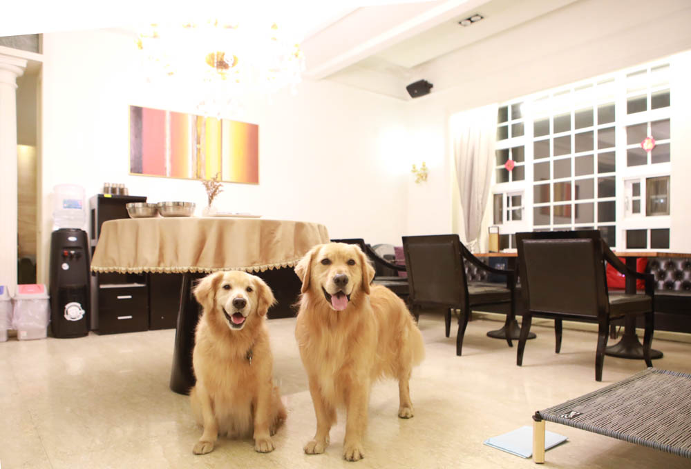 花蓮翠山莊villa包棟民宿|花蓮吉安包棟泳池民宿推薦、花蓮寵物友善民宿、豪華大別墅、泳池畔餐桌、大草皮、漂浮早餐 - 第8張圖 花蓮翠山莊villa包棟民宿|花蓮吉安包棟泳池民宿推薦、花蓮寵物友善民宿、豪華大別墅、泳池畔餐桌、大草皮、漂浮早餐