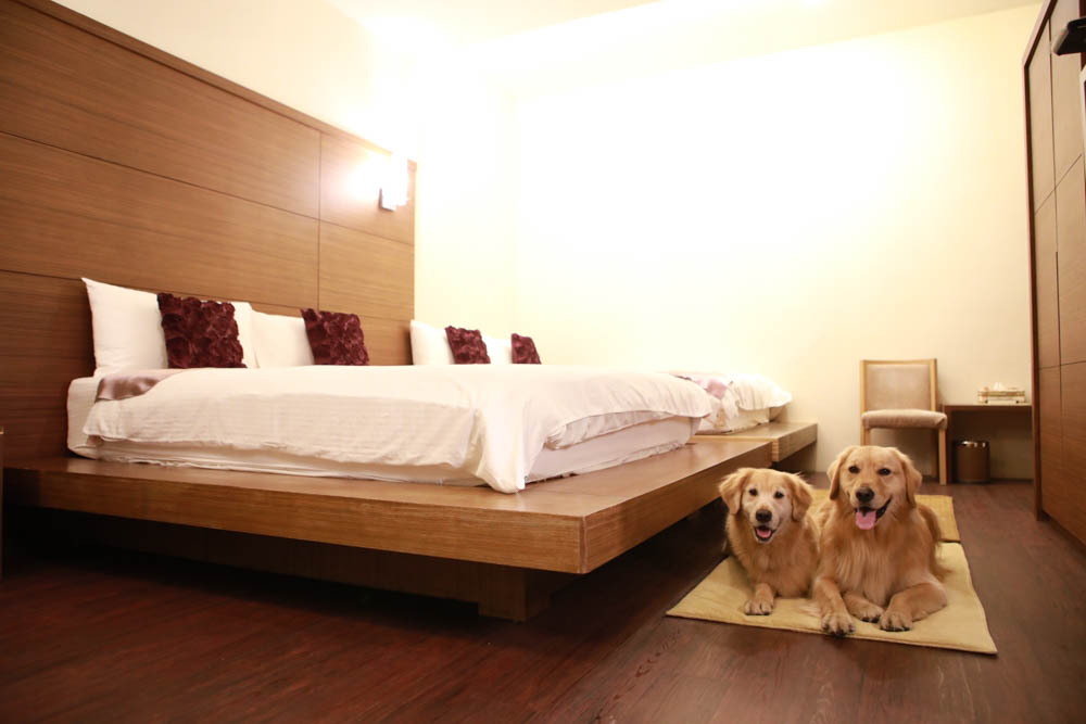 花蓮翠山莊villa包棟民宿|花蓮吉安包棟泳池民宿推薦、花蓮寵物友善民宿、豪華大別墅、泳池畔餐桌、大草皮、漂浮早餐 - 第24張圖 花蓮翠山莊villa包棟民宿|花蓮吉安包棟泳池民宿推薦、花蓮寵物友善民宿、豪華大別墅、泳池畔餐桌、大草皮、漂浮早餐