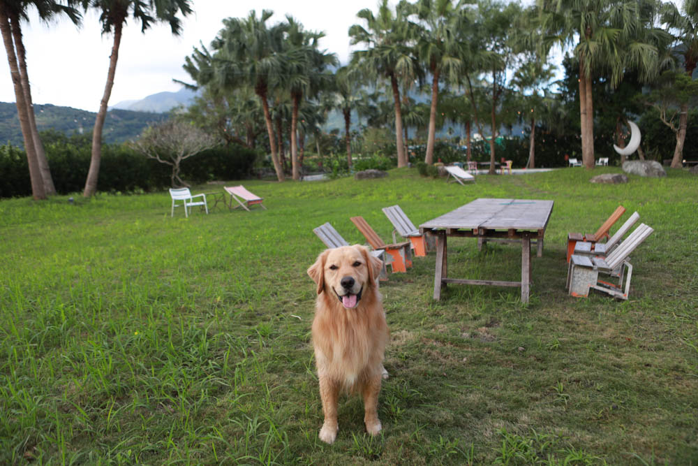 花蓮翠山莊villa包棟民宿|花蓮吉安包棟泳池民宿推薦、花蓮寵物友善民宿、豪華大別墅、泳池畔餐桌、大草皮、漂浮早餐 - 第71張圖 花蓮翠山莊villa包棟民宿|花蓮吉安包棟泳池民宿推薦、花蓮寵物友善民宿、豪華大別墅、泳池畔餐桌、大草皮、漂浮早餐
