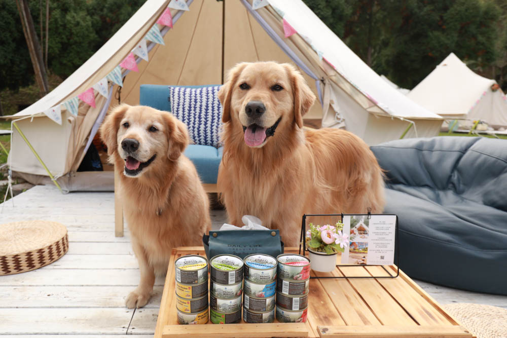 寵物主食罐頭推薦|耐吉斯源野獵食客主食罐系列。全肉骨主食罐、模擬犬貓野外狩獵飲食需求、提供最完善天然的營養!! - 第1張圖 寵物主食罐頭推薦|耐吉斯源野獵食客主食罐系列。全肉骨主食罐、模擬犬貓野外狩獵飲食需求、提供最完善天然的營養!!