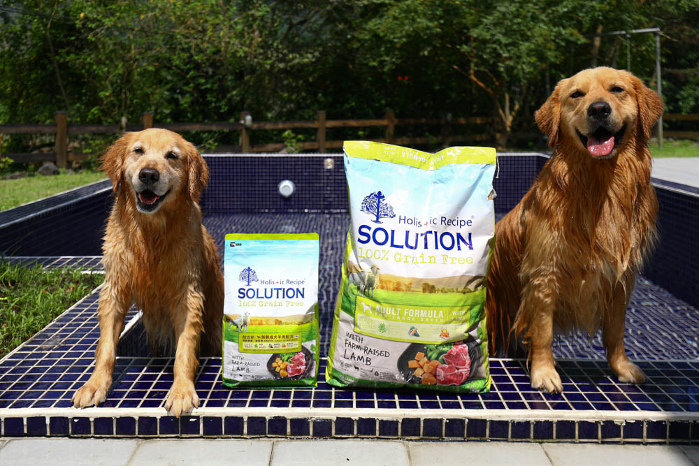 寵物飼料推薦｜耐吉斯超級無穀系列成犬羊肉配方大顆粒。嚴選紐澳放牧羊、低敏、單一動物性蛋白質來源、100%完全無穀