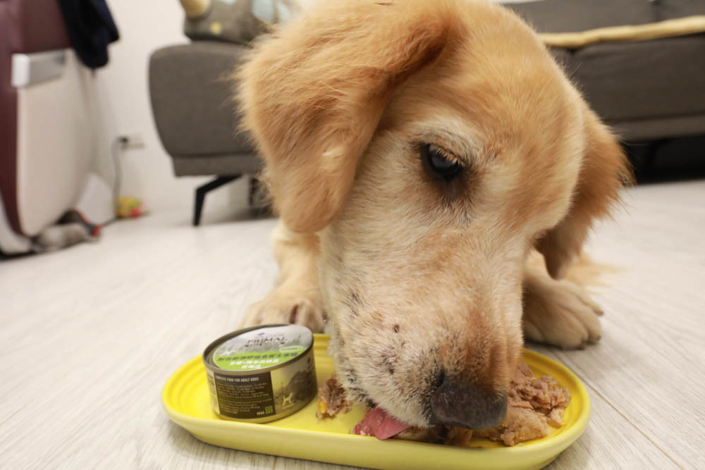 寵物主食罐頭推薦|耐吉斯源野獵食客主食罐系列。全肉骨主食罐、模擬犬貓野外狩獵飲食需求、提供最完善天然的營養!! - 第14張圖 寵物主食罐頭推薦|耐吉斯源野獵食客主食罐系列。全肉骨主食罐、模擬犬貓野外狩獵飲食需求、提供最完善天然的營養!!