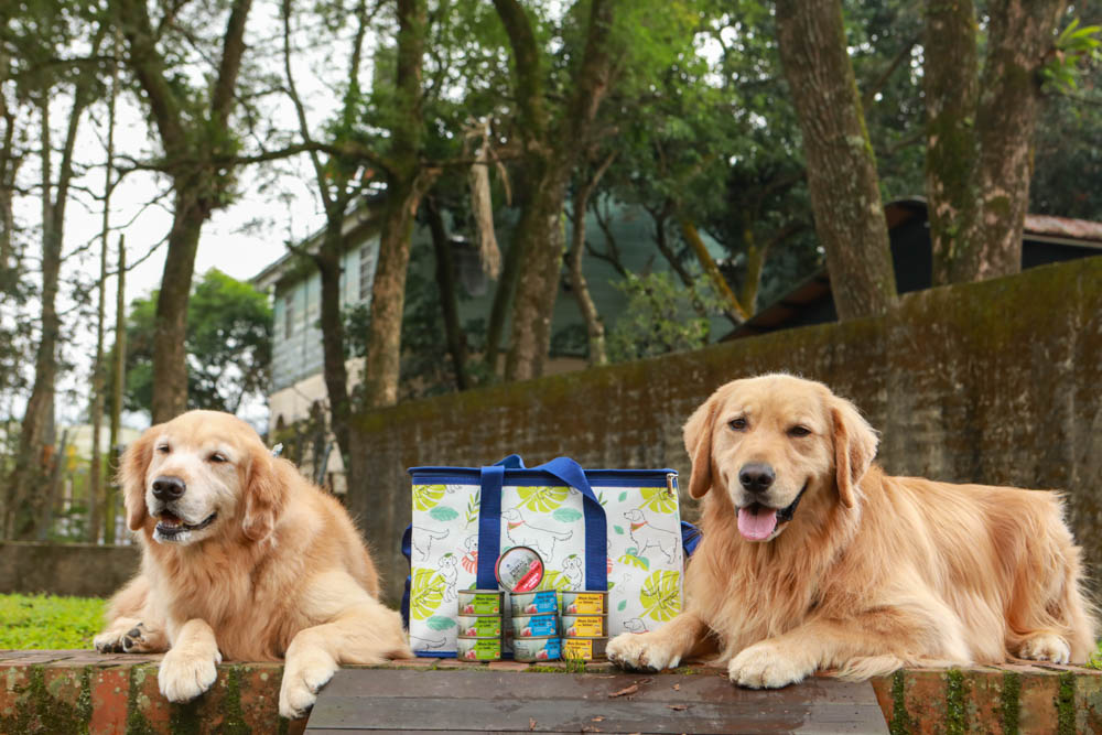 寵物主食罐頭推薦|耐吉斯源野獵食客主食罐系列。全肉骨主食罐、模擬犬貓野外狩獵飲食需求、提供最完善天然的營養!! - 第2張圖 寵物主食罐頭推薦|耐吉斯源野獵食客主食罐系列。全肉骨主食罐、模擬犬貓野外狩獵飲食需求、提供最完善天然的營養!!