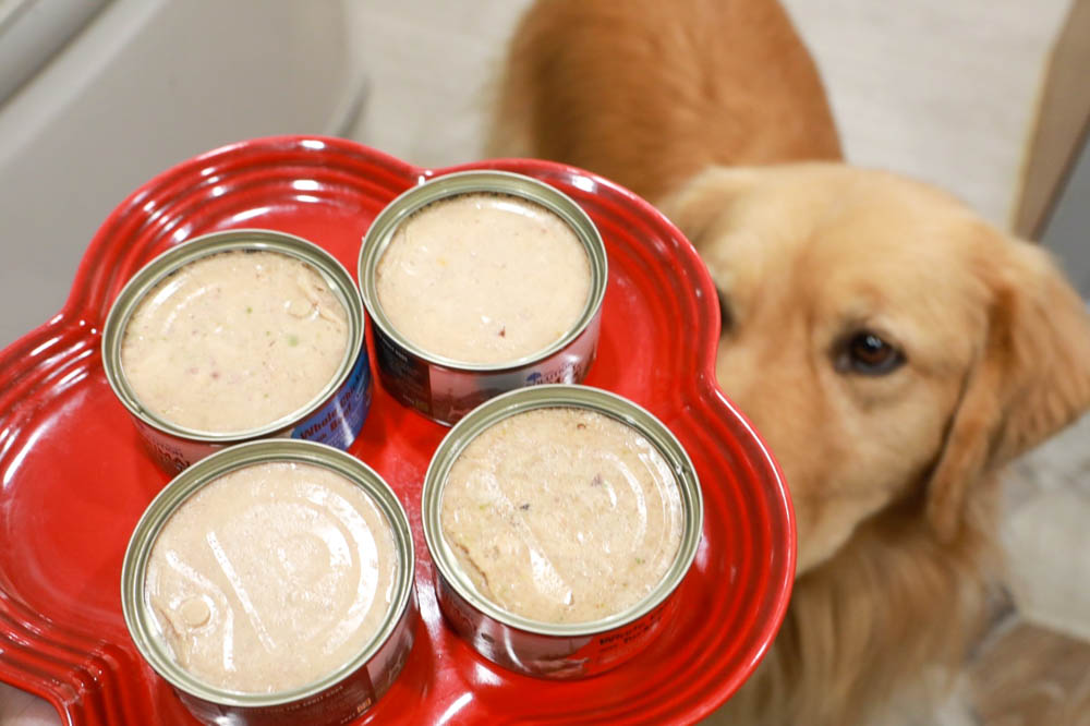 寵物主食罐頭推薦|耐吉斯源野獵食客主食罐系列。全肉骨主食罐、模擬犬貓野外狩獵飲食需求、提供最完善天然的營養!! - 第8張圖 寵物主食罐頭推薦|耐吉斯源野獵食客主食罐系列。全肉骨主食罐、模擬犬貓野外狩獵飲食需求、提供最完善天然的營養!!