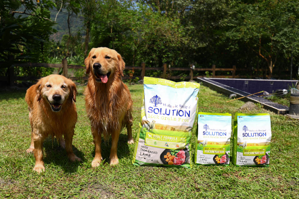 寵物飼料推薦｜耐吉斯超級無穀系列成犬羊肉配方大顆粒。嚴選紐澳放牧羊、低敏、單一動物性蛋白質來源、100%完全無穀