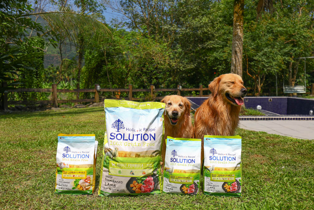 寵物飼料推薦｜耐吉斯超級無穀系列成犬羊肉配方大顆粒。嚴選紐澳放牧羊、低敏、單一動物性蛋白質來源、100%完全無穀