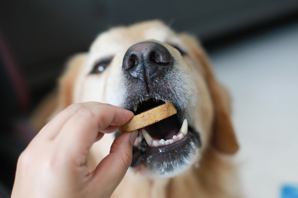 寵物凍乾主食推薦|耐吉斯獵食客犬糧佐全肉骨凍乾、犬凍乾生食餐、全骨肉一整隻雞的天然美味!! - 第21張圖 寵物凍乾主食推薦|耐吉斯獵食客犬糧佐全肉骨凍乾、犬凍乾生食餐、全骨肉一整隻雞的天然美味!!