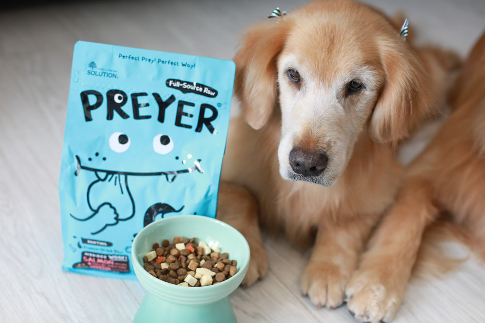 寵物凍乾主食推薦|耐吉斯獵食客犬糧佐全肉骨凍乾、犬凍乾生食餐、全骨肉一整隻雞的天然美味!! - 第9張圖 寵物凍乾主食推薦|耐吉斯獵食客犬糧佐全肉骨凍乾、犬凍乾生食餐、全骨肉一整隻雞的天然美味!!