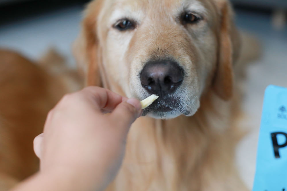 寵物凍乾主食推薦|耐吉斯獵食客犬糧佐全肉骨凍乾、犬凍乾生食餐、全骨肉一整隻雞的天然美味!! - 第11張圖 寵物凍乾主食推薦|耐吉斯獵食客犬糧佐全肉骨凍乾、犬凍乾生食餐、全骨肉一整隻雞的天然美味!!