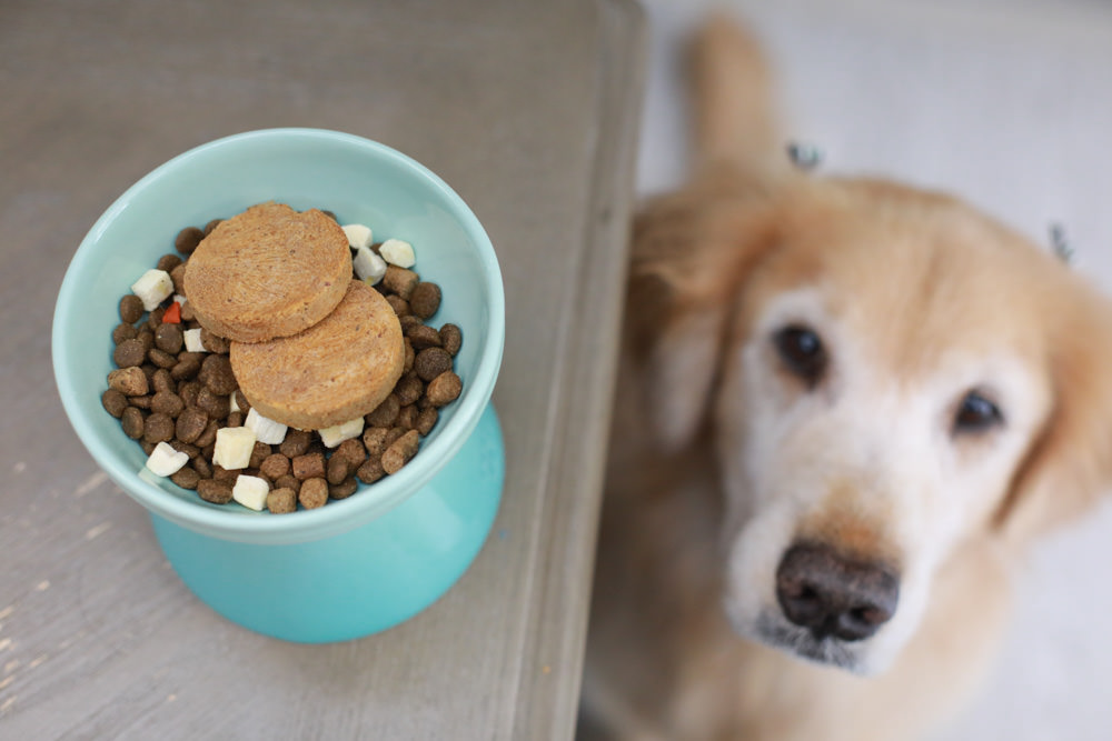 寵物凍乾主食推薦|耐吉斯獵食客犬糧佐全肉骨凍乾、犬凍乾生食餐、全骨肉一整隻雞的天然美味!! - 第23張圖 寵物凍乾主食推薦|耐吉斯獵食客犬糧佐全肉骨凍乾、犬凍乾生食餐、全骨肉一整隻雞的天然美味!!