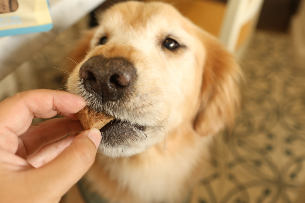 Mr.MEAT肉鮮生凍乾主食|狗狗主食凍乾推薦。凍乾生食、冷凍真空乾燥、完整鎖住營養保鮮、多種口味選擇 - 第8張圖 Mr.MEAT肉鮮生凍乾主食|狗狗主食凍乾推薦。凍乾生食、冷凍真空乾燥、完整鎖住營養保鮮、多種口味選擇