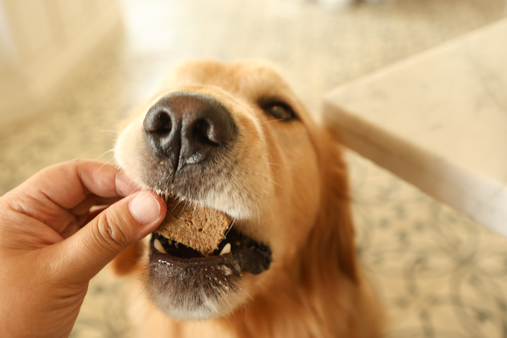 Mr.MEAT肉鮮生凍乾主食|狗狗主食凍乾推薦。凍乾生食、冷凍真空乾燥、完整鎖住營養保鮮、多種口味選擇 - 第9張圖 Mr.MEAT肉鮮生凍乾主食|狗狗主食凍乾推薦。凍乾生食、冷凍真空乾燥、完整鎖住營養保鮮、多種口味選擇