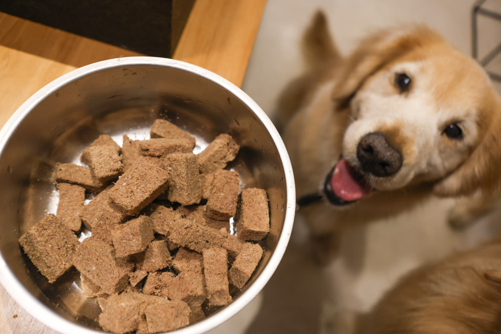 Mr.MEAT肉鮮生凍乾主食|狗狗主食凍乾推薦。凍乾生食、冷凍真空乾燥、完整鎖住營養保鮮、多種口味選擇 - 第7張圖 Mr.MEAT肉鮮生凍乾主食|狗狗主食凍乾推薦。凍乾生食、冷凍真空乾燥、完整鎖住營養保鮮、多種口味選擇