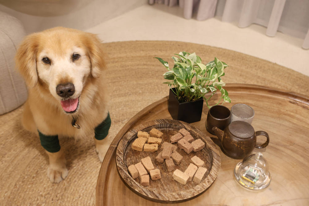 Mr.MEAT肉鮮生凍乾主食|狗狗主食凍乾推薦。凍乾生食、冷凍真空乾燥、完整鎖住營養保鮮、多種口味選擇 - 第11張圖 Mr.MEAT肉鮮生凍乾主食|狗狗主食凍乾推薦。凍乾生食、冷凍真空乾燥、完整鎖住營養保鮮、多種口味選擇