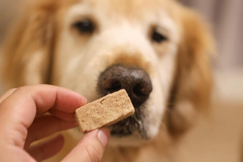 Mr.MEAT肉鮮生凍乾主食|狗狗主食凍乾推薦。凍乾生食、冷凍真空乾燥、完整鎖住營養保鮮、多種口味選擇 - 第14張圖 Mr.MEAT肉鮮生凍乾主食|狗狗主食凍乾推薦。凍乾生食、冷凍真空乾燥、完整鎖住營養保鮮、多種口味選擇