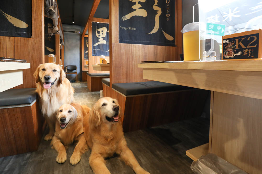 中永和美食|野人SHABU火鍋中和店、野人Shabu 冷藏/熟成高級肉專門中和。寵物友善餐廳 - 第15張圖 中永和美食|野人SHABU火鍋中和店、野人Shabu 冷藏/熟成高級肉專門中和。寵物友善餐廳