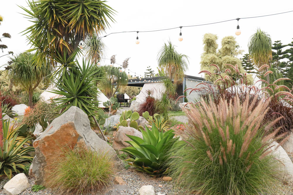 苗栗懶人露營｜自然圈農場。一泊二食豪華露營、免搭帳奢華露營、寵物友善帳篷、溫泉泡湯、農遊體驗