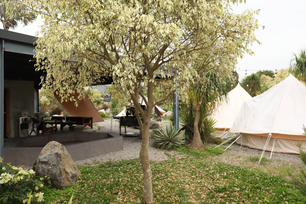 苗栗懶人露營｜自然圈農場。一泊二食豪華露營、免搭帳奢華露營、寵物友善帳篷、溫泉泡湯、農遊體驗