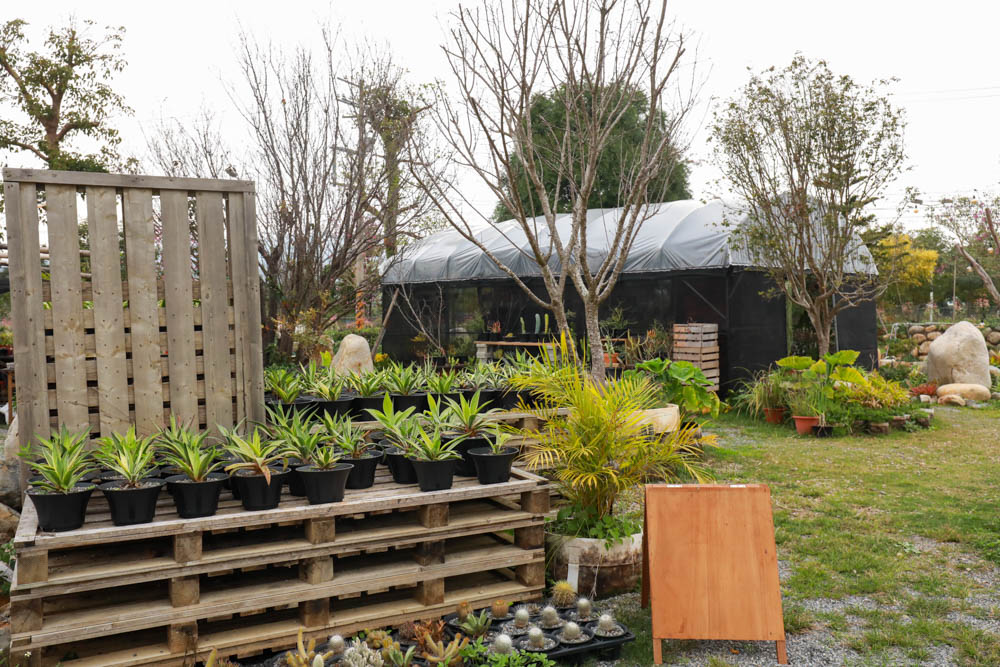 苗栗懶人露營｜自然圈農場。一泊二食豪華露營、免搭帳奢華露營、寵物友善帳篷、溫泉泡湯、農遊體驗