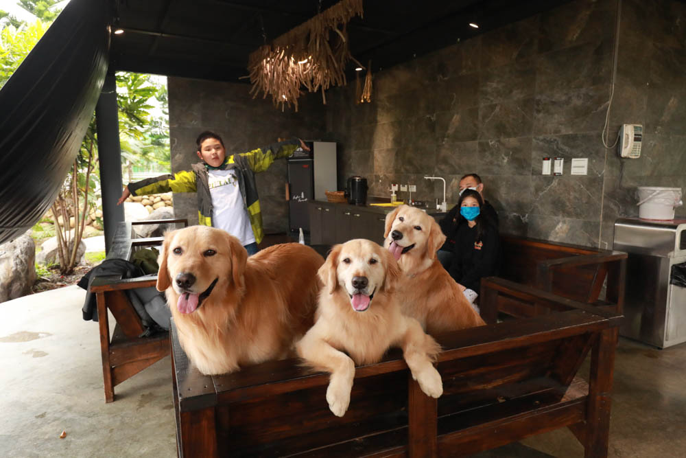 苗栗懶人露營｜自然圈農場。一泊二食豪華露營、免搭帳奢華露營、寵物友善帳篷、溫泉泡湯、農遊體驗