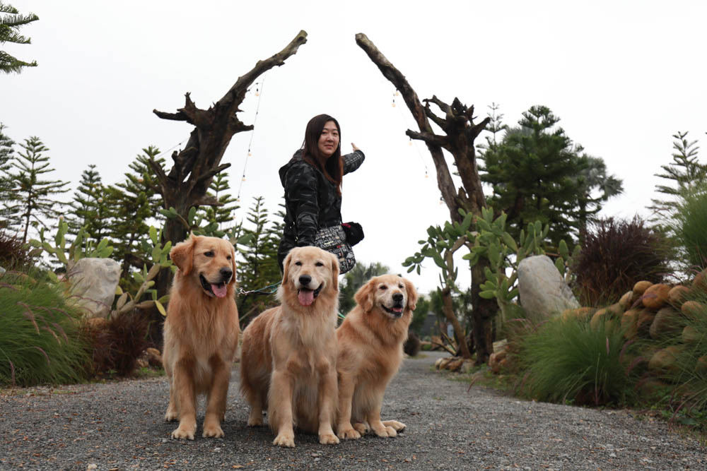 苗栗懶人露營｜自然圈農場。一泊二食豪華露營、免搭帳奢華露營、寵物友善帳篷、溫泉泡湯、農遊體驗