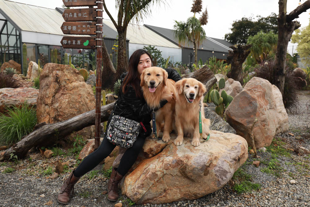 苗栗懶人露營｜自然圈農場。一泊二食豪華露營、免搭帳奢華露營、寵物友善帳篷、溫泉泡湯、農遊體驗